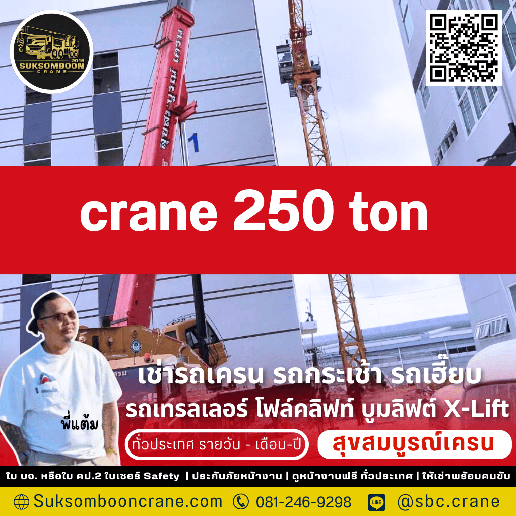 crane 250 ton
