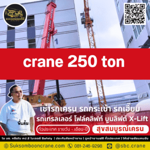 crane 250 ton
