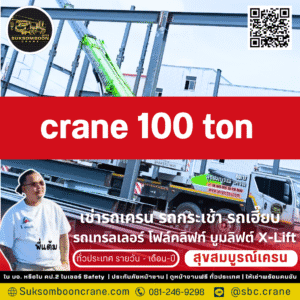 crane 100 ton