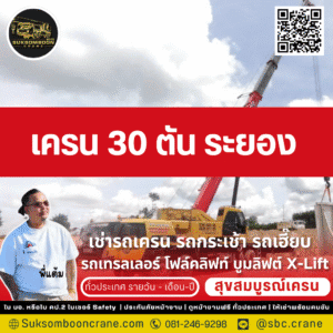 เครน 30 ตัน ระยอง