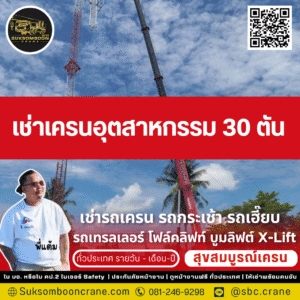 เช่าเครนอุตสาหกรรม 30 ตัน