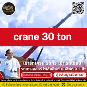 Crane 30 ton